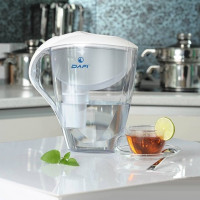 Waterzuiveringsfilter voor een zomerresidentie: selectietips + een overzicht van de beste merken