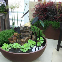 Làm thế nào để làm ẩm không khí mà không cần máy tạo độ ẩm trong căn hộ vào mùa đông: những lựa chọn thiết thực tốt nhất