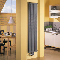 Radiateurs à chauffage vertical: types + avantages et inconvénients + aperçu de la marque