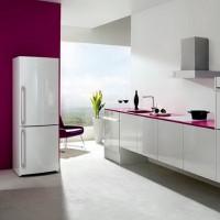 Refrigerators Don: reviews, an overview of the 5 best models, recommendations for choosing