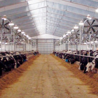 Doe-het-zelf ventilatie van de stal: soorten systemen, luchtwisselkoersen + systeemopstelling