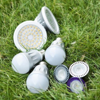 LED-lampen voor thuis: welke diodebollen zijn beter, overzicht van fabrikanten van LED-lampen