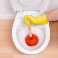 How to clean your toilet yourself: the best ways to eliminate blockages