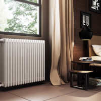 Welke verwarmingsbatterijen zijn het beste voor een appartement: classificatie van radiatoren en hun kenmerken