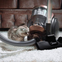 Rating ng Midea vacuum cleaner: isang pangkalahatang-ideya ng pinakamahusay na mga modelo + kung ano ang titingnan kapag bumili ng kagamitan sa tatak