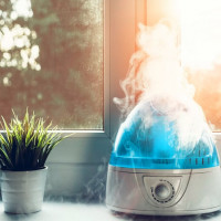 Tác hại và lợi ích của máy tạo độ ẩm: lập luận và chống lại việc sử dụng các thiết bị trong căn hộ