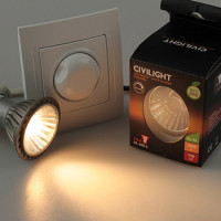 Ampoules LED à intensité variable: conseils de sélection, un aperçu des meilleurs fabricants