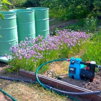 Hoe u een goede pomp kiest voor het besproeien van de tuin met water uit een vijver, vat of vijver
