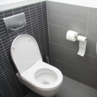 How to clean a blockage in the toilet: a comparison of the best methods and equipment