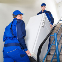 Thải bỏ tủ lạnh: làm thế nào để chia phần với một đơn vị làm lạnh không cần thiết
