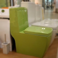 Monoblock-toilet: apparaat, voor- en nadelen, hoe te kiezen