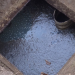 Maninirahan ba ang lupain dahil sa isang cesspool nang walang isang ilalim?