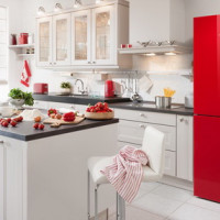 Tủ lạnh hai buồng: TOP-20 trong số các mẫu và mẹo tốt nhất để chọn một đơn vị