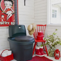 Quel placard sec est le meilleur: liquide ou compostage? Quoi acheter: tourbe ou option chimique