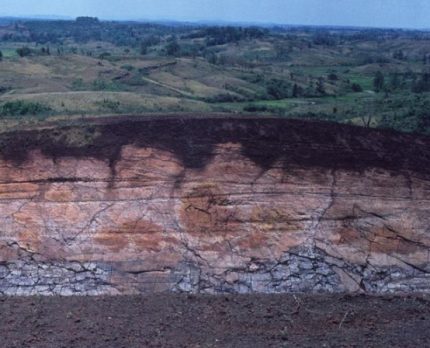 Schematisch geologisch gedeelte met een voorbeeld van strooisel
