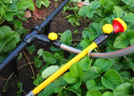 Collapsible water supply