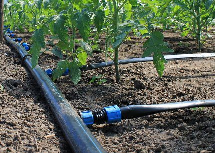 Drip irrigation system