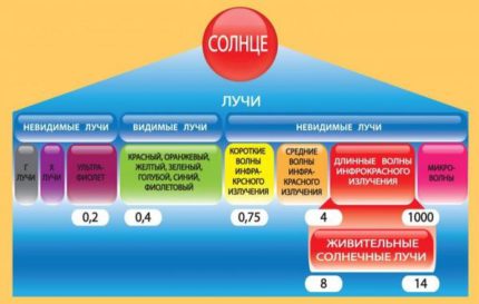 Những lợi ích của sưởi ấm hồng ngoại cho gia đình