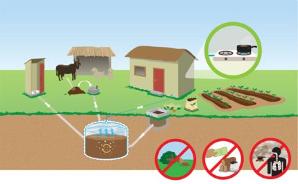 Biogas verkrijgen uit mest