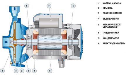 Centrifugalpumpedesign