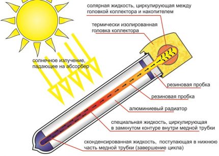 Ang pipe ng init ng kolektor ng solar