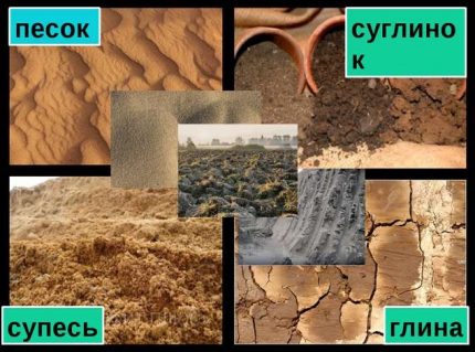 Soil types
