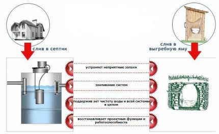Vệ sinh bể phốt và bể tự hoại