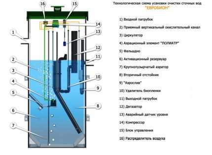Het schema van de septic tank