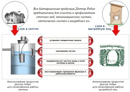 Phạm vi sản phẩm của thương hiệu Dr. Robik