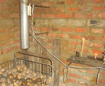 Mokre ziemniaki w piwnicy pod maską