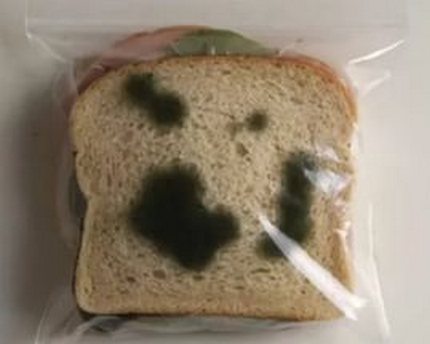 Zwarte schimmel op brood