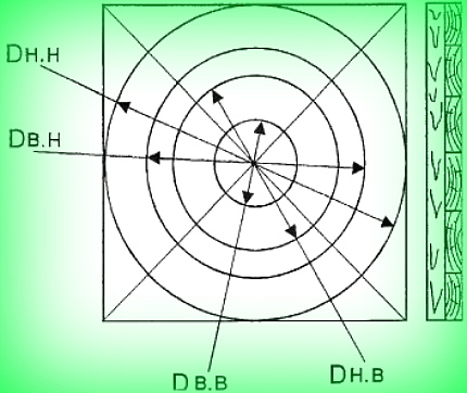 Form layout