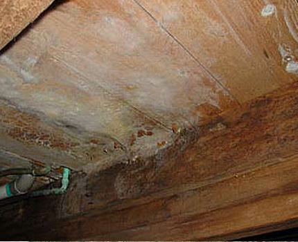 The ceiling of the bath rots