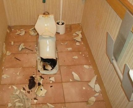 Beaucoup d'éclats de toilette brisés