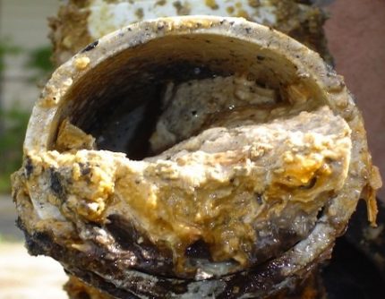 Pipe growth