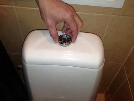 Flush Button Removal