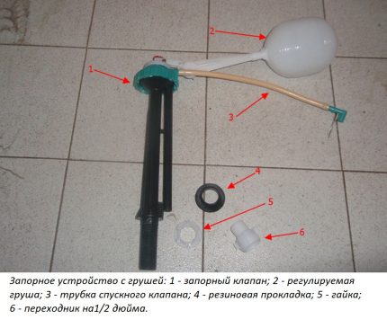 Exhaust Valve Parts