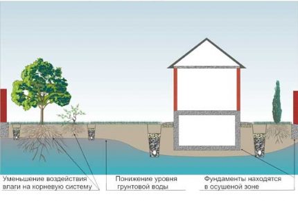 Drainagesysteem diagram