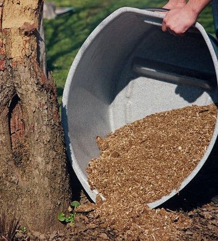 The use of peat as a heater of the root system