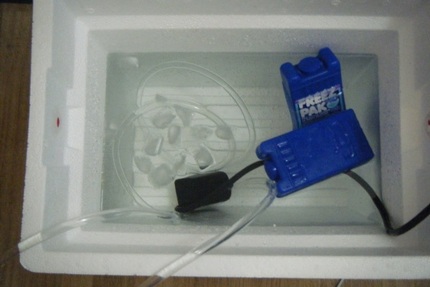 Mga nilalaman ng thermal box