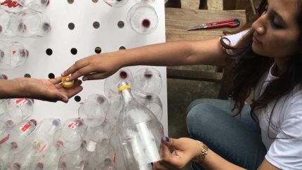 Ang pag-aayos ng mga bote sa isang sheet