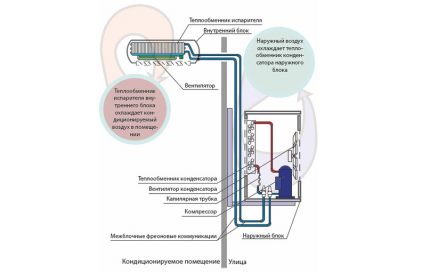 Schemat systemu podziału