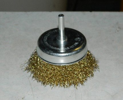 Borstelkop