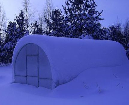 Greenhouse covered in snow