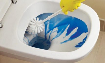 Het toilet schoonmaken