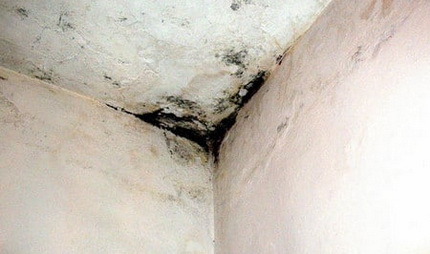 Phòng tắm chống thấm