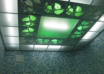 Banayad na panel