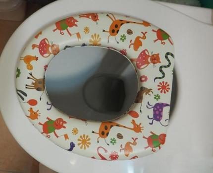 Nakadikit na upuan sa banyo