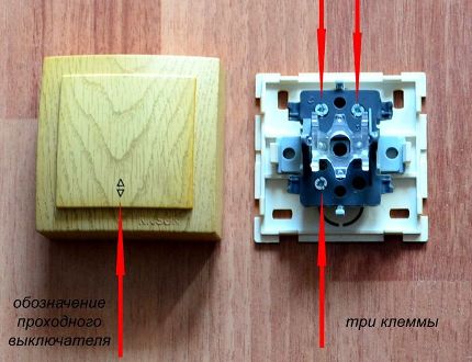 Chuyển đổi thức ăn