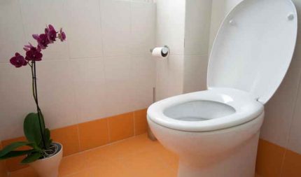 Duroplast na upuan sa banyo